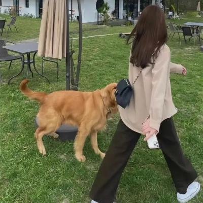 以父子之名
