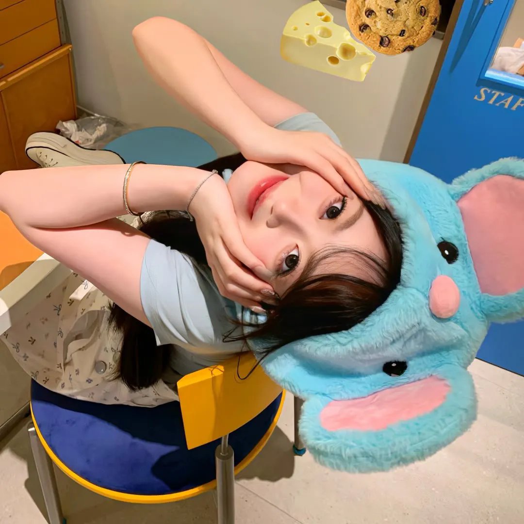 南风知我意