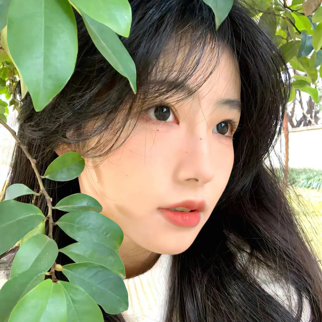 心尘情缘